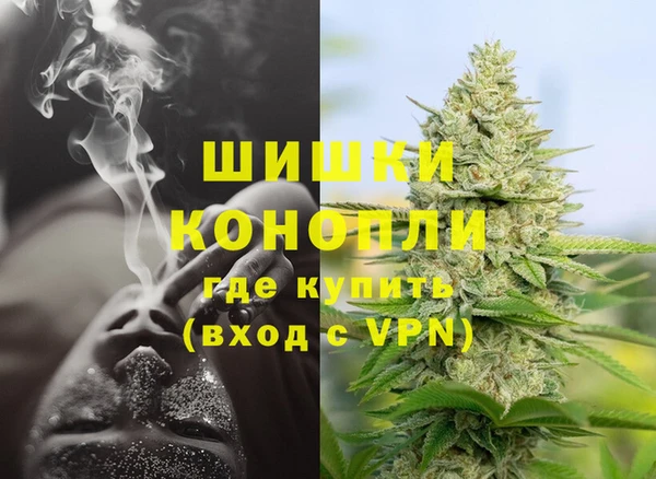 шишки Армянск