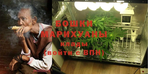 шишки Армянск