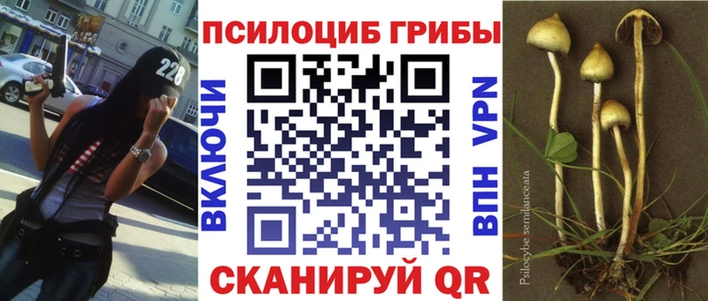 Псилоцибиновые грибы прущие грибы  Купить где  Алейск 