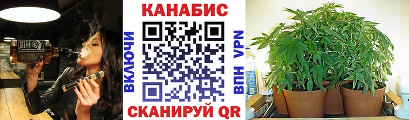 Купить закладки  Алейск  Конопля THC 21% 